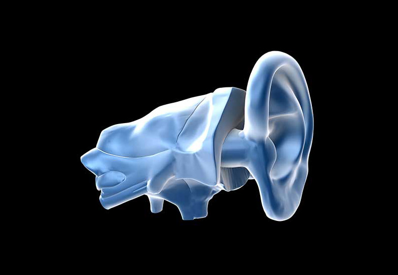 3D-Diagram-of-the-Ear